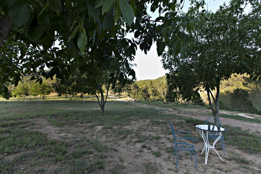 Masia Ca L'Anima La Baronia de Rialb Exterior photo